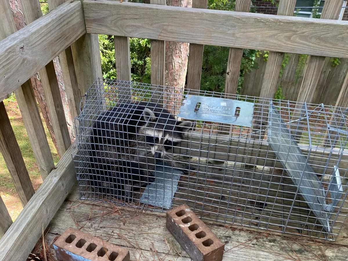 365 Wildlife and Pest Control, L.L.C.