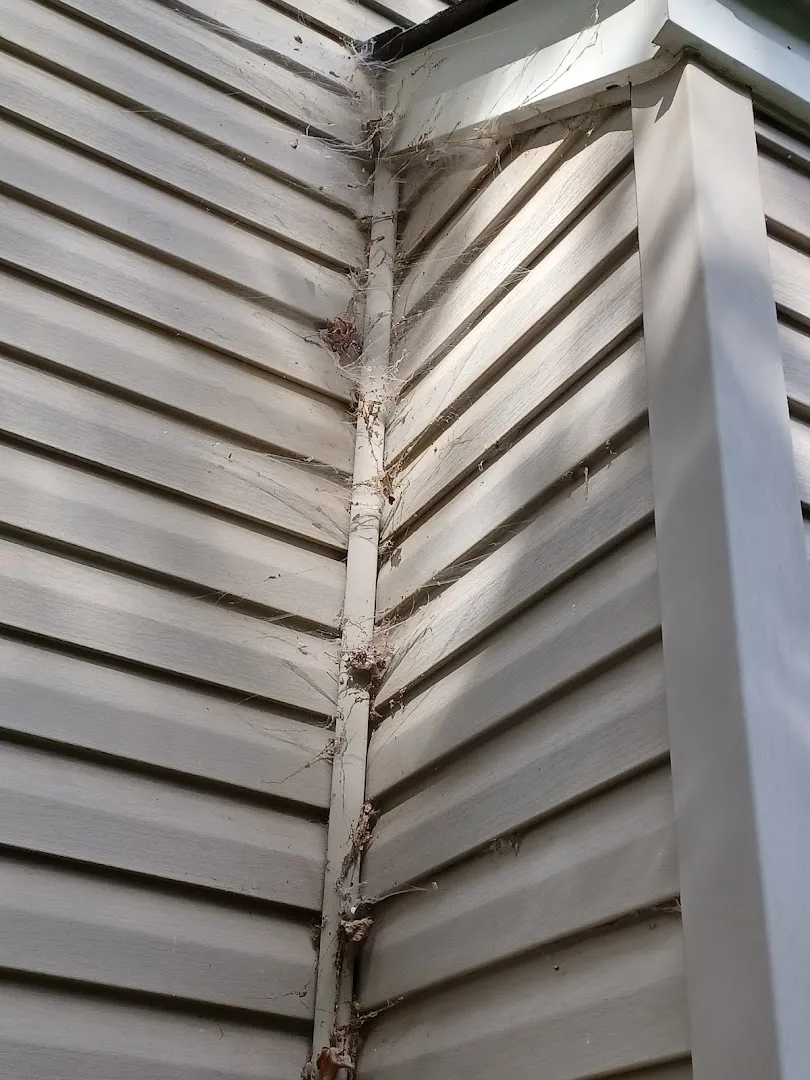A Better Way Pest Solutions