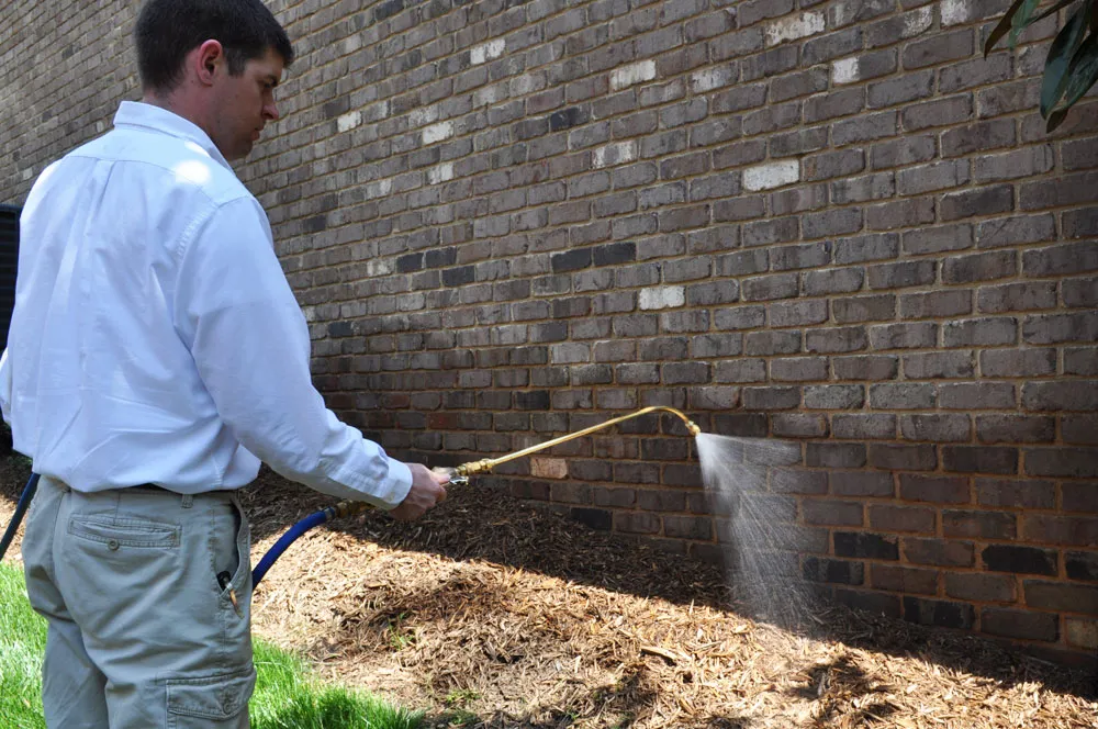 Action Pest Services