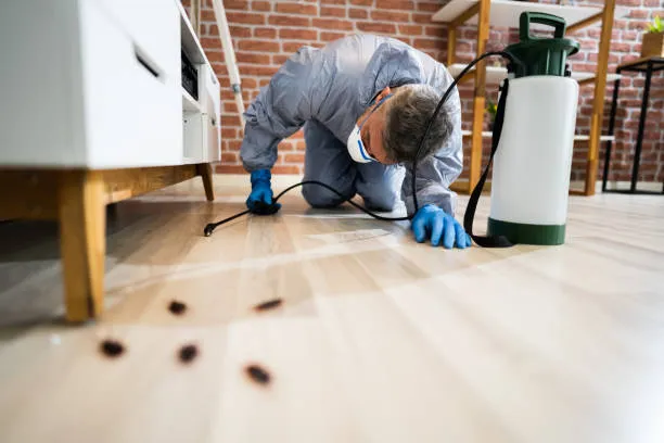 All Phase Pest Control