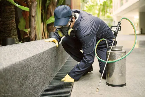 All Phase Pest Control