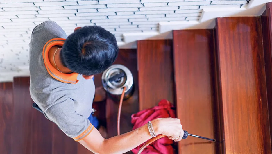 All Phase Pest Control