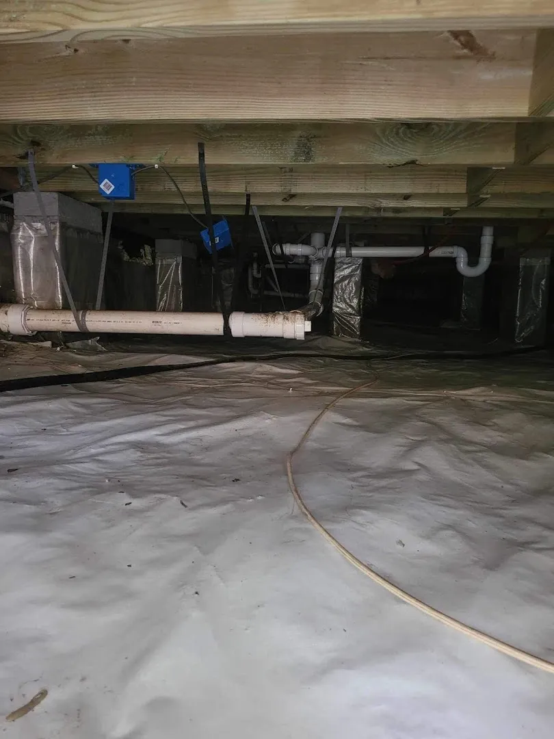 Allpro Pest Management Inc.