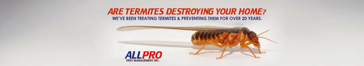 Allpro Pest Management Inc.