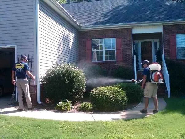 Apex Termite & Pest Control