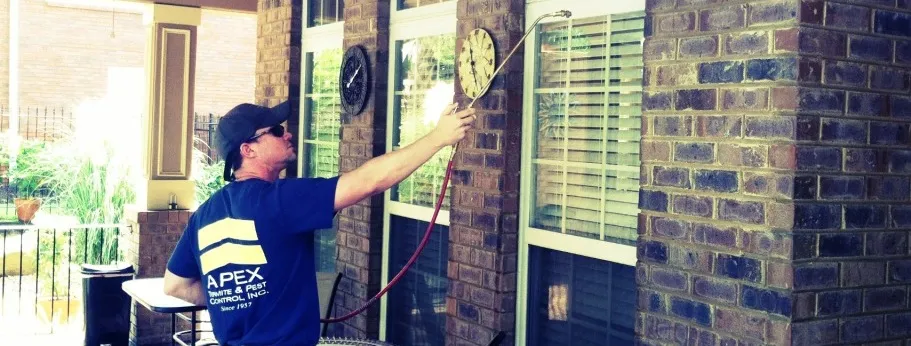 Apex Termite & Pest Control