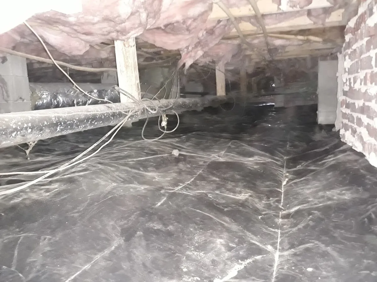 Apex Termite & Pest Control