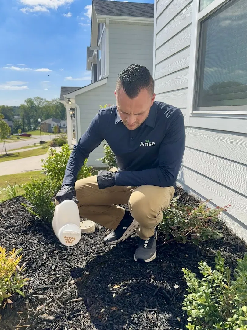Arise Pest Control