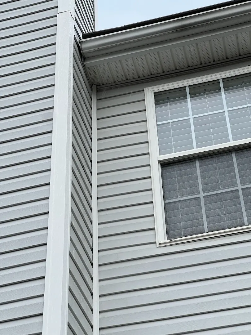 Away Pest Services