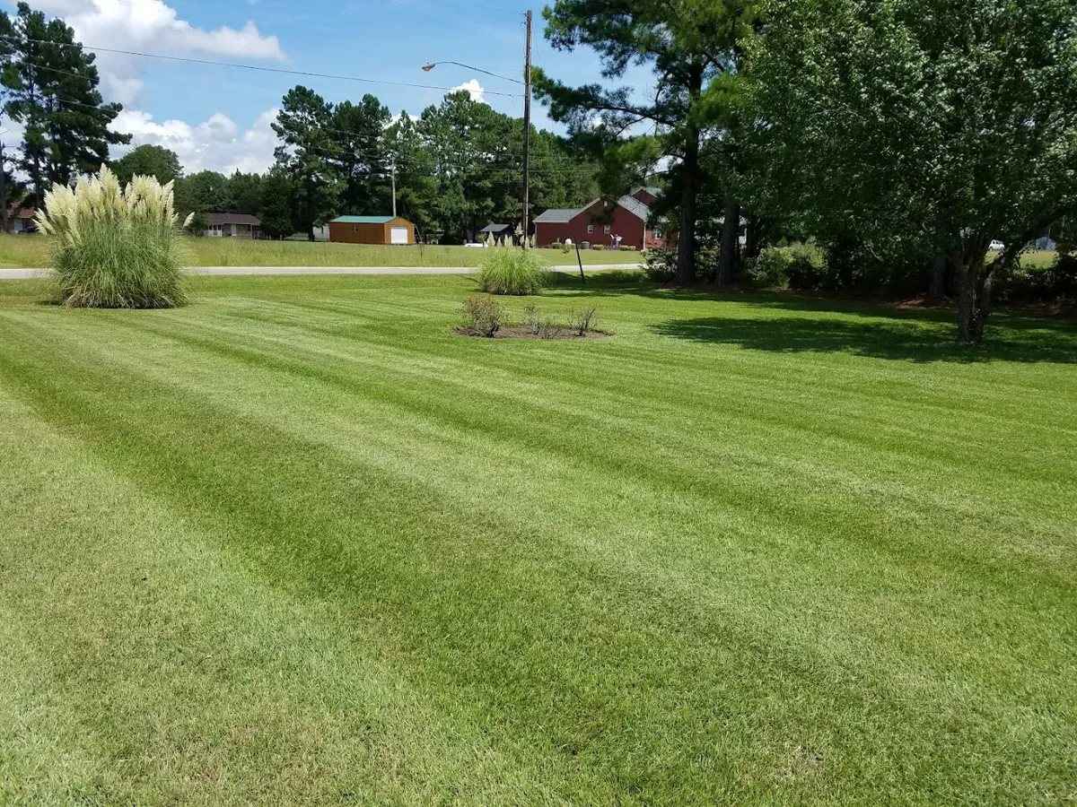 Belin Superior Lawn service LLC