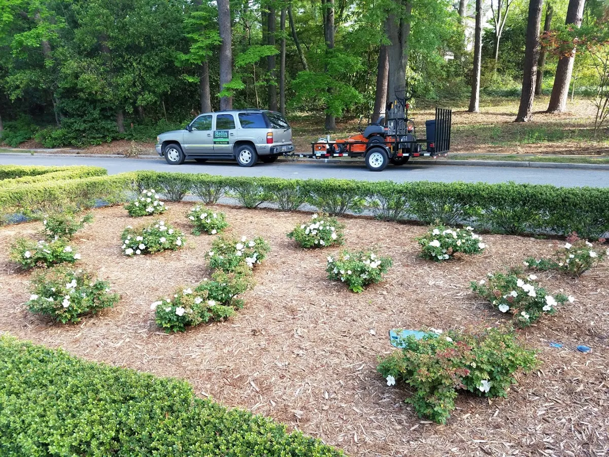Belin Superior Lawn service LLC
