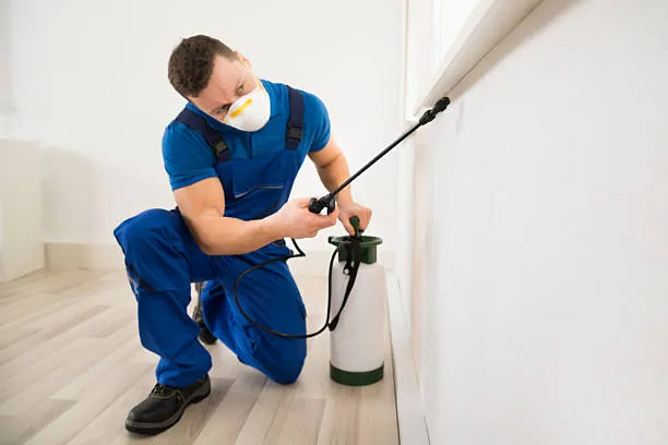 Blue Ridge Pest Control