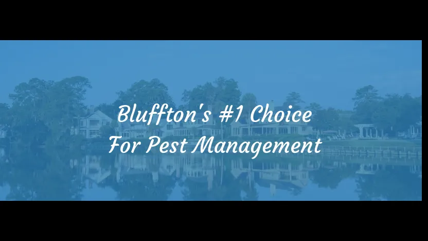 Bluffton Pest Management