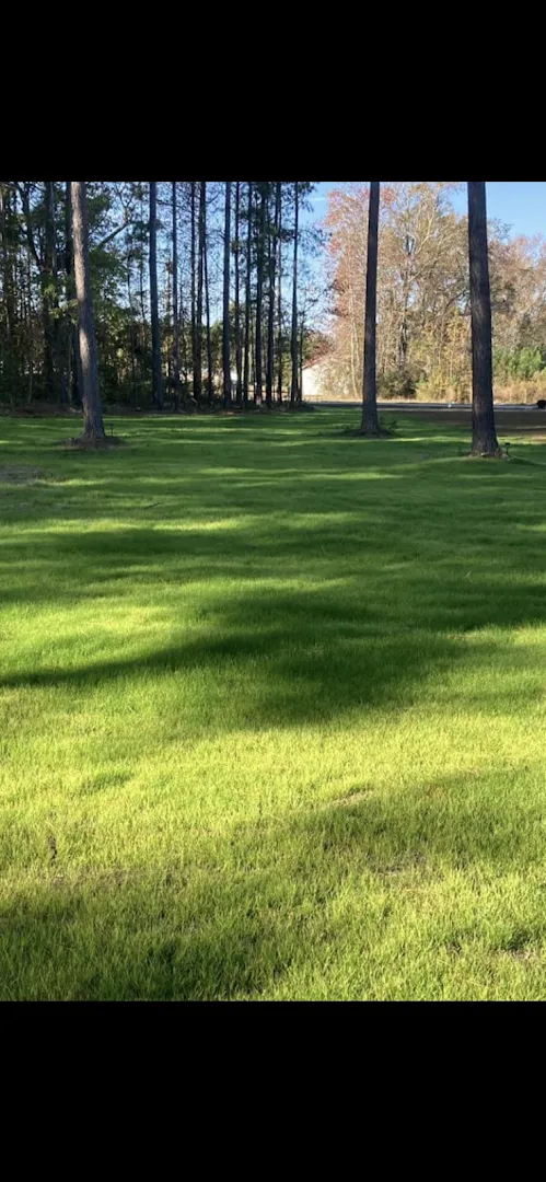 Brothers Lawn and Pest Control LLC