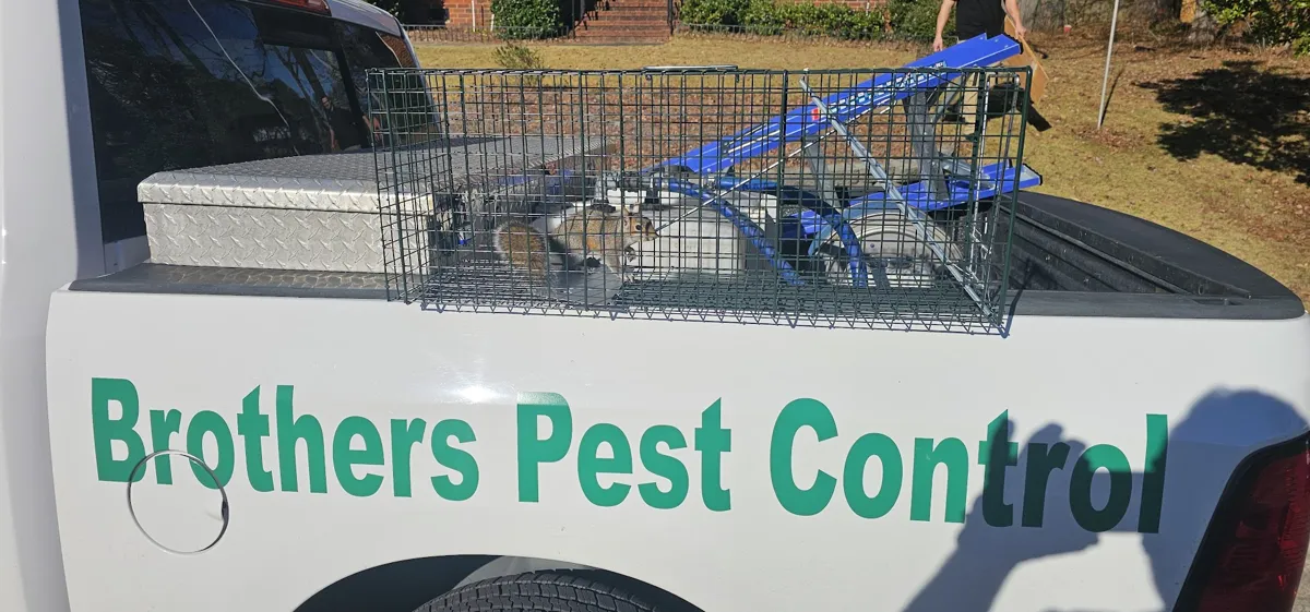 Brothers Pest Control