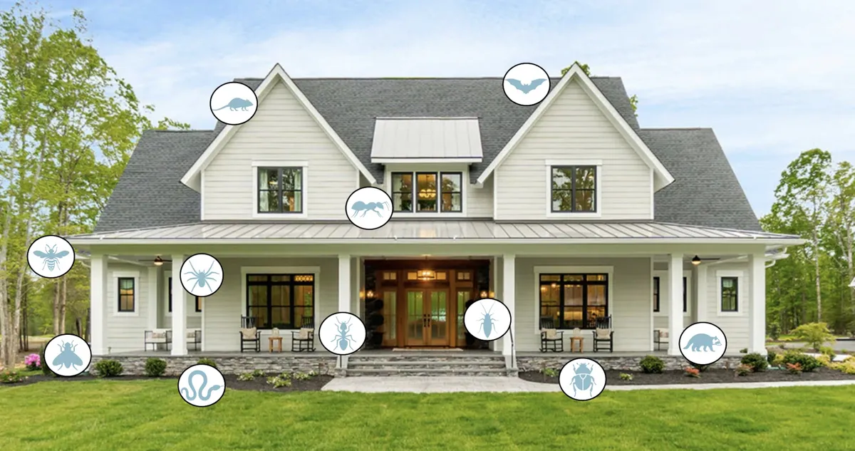 Bugs Out Pest Control