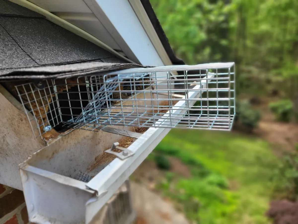 Caliber Pest Solutions