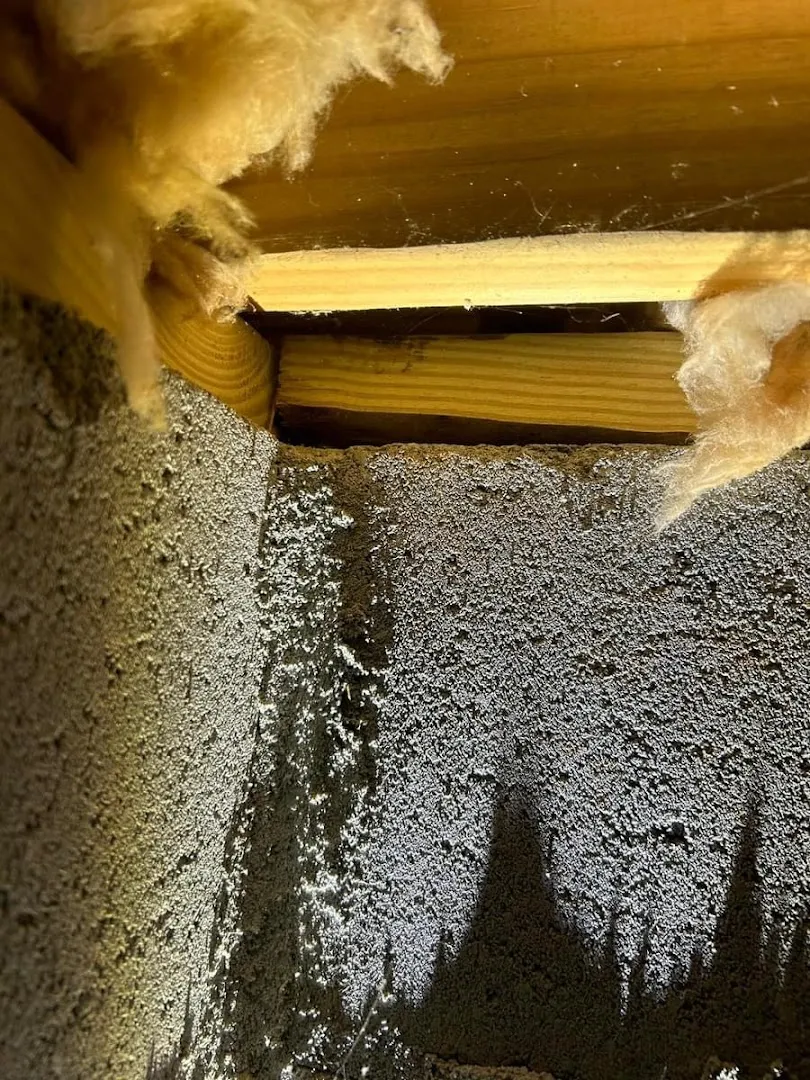 Carolina Critter Solutions, LLC