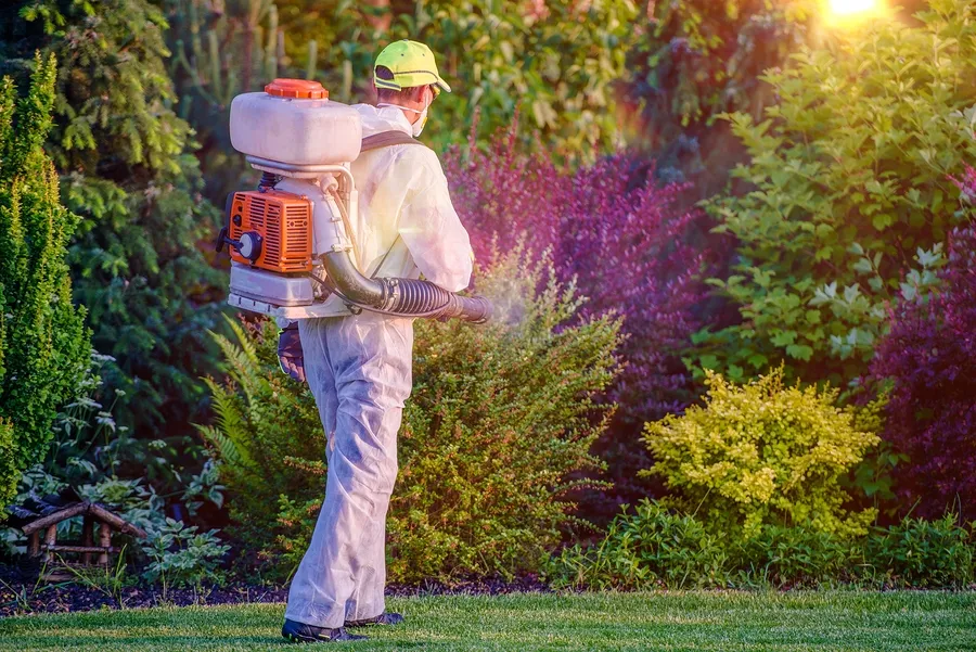 Champion Pest Management