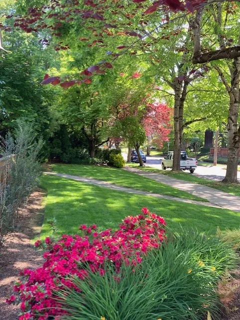 Clean Air Lawn Care Charleston