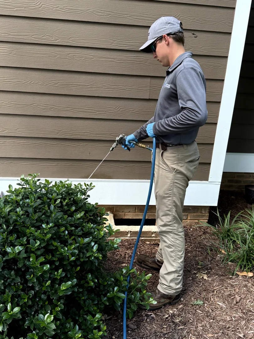 ClearDefense Pest Control
