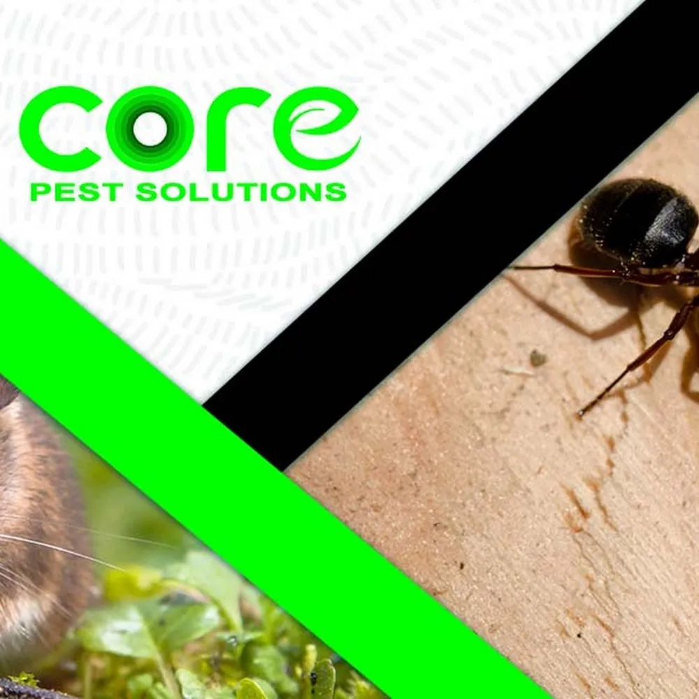 Core Pest Solutions