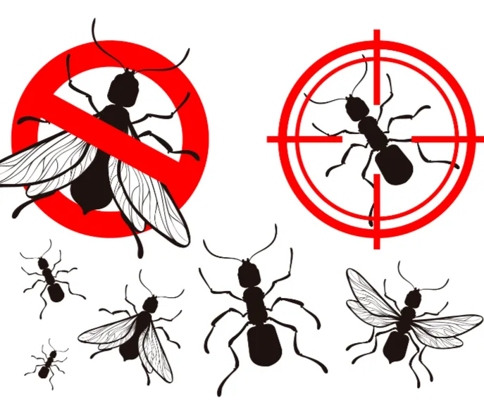 County pest control