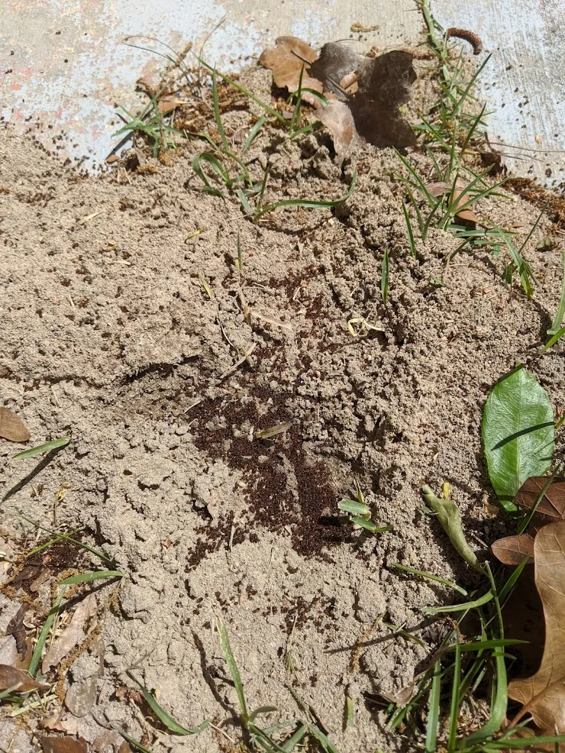 Crenshaw's Termite & Pest Control