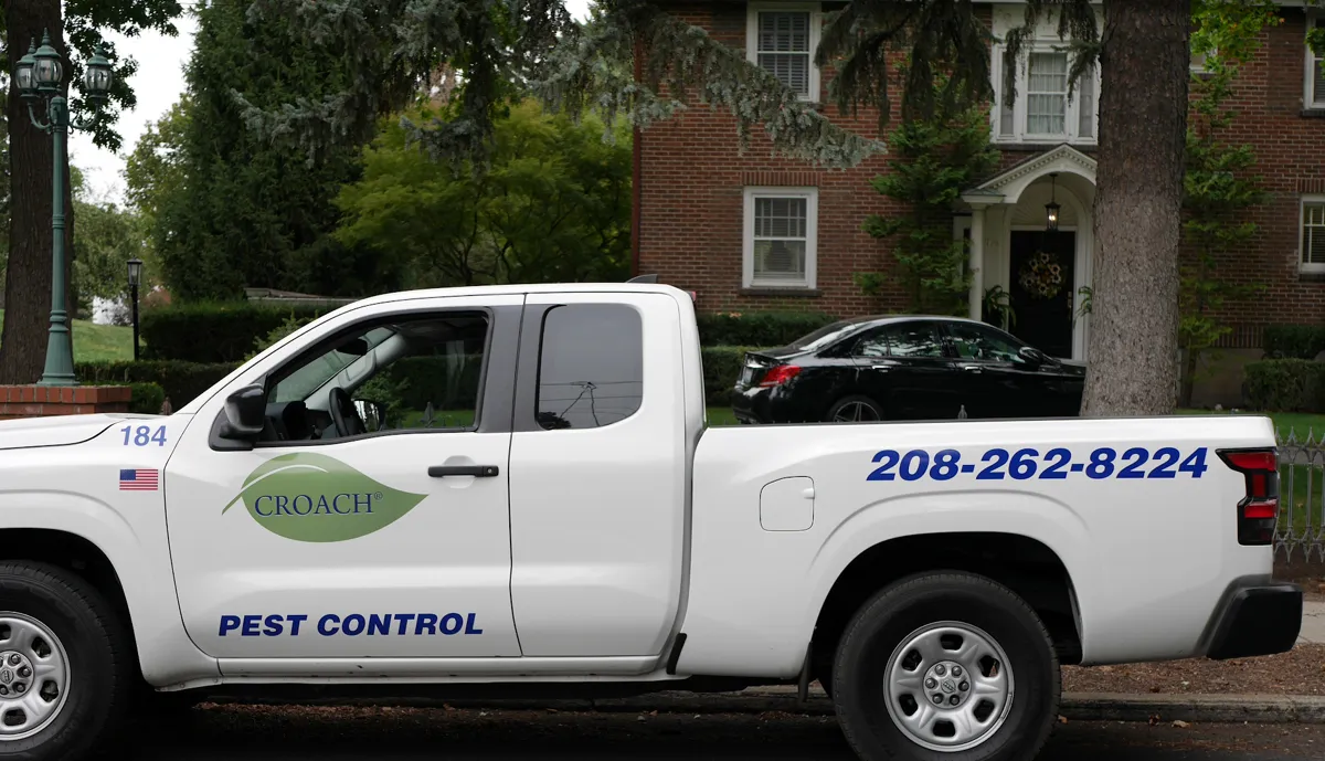 Croach Pest Control