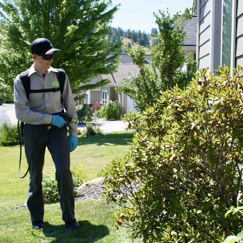 Croach Pest Control