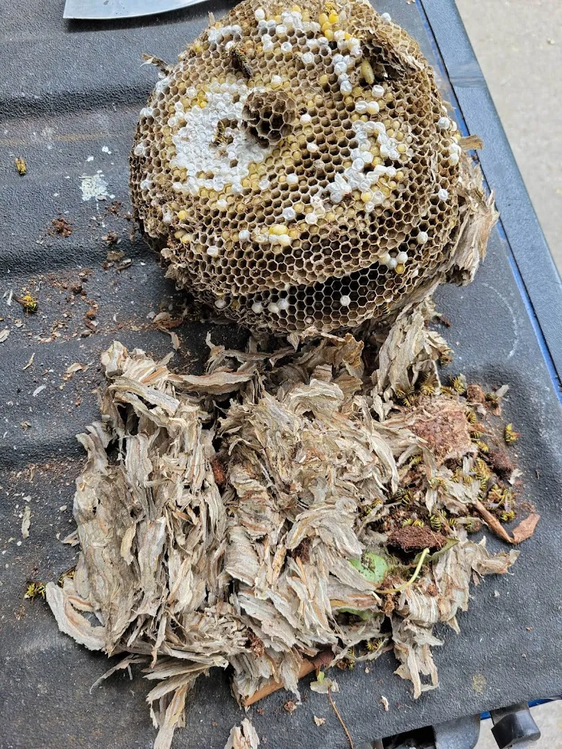 Daniels Pest Control