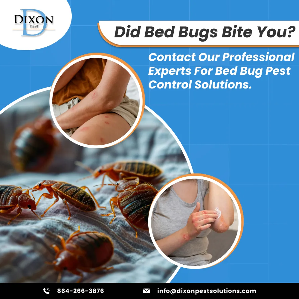Dixon Pest Solutions