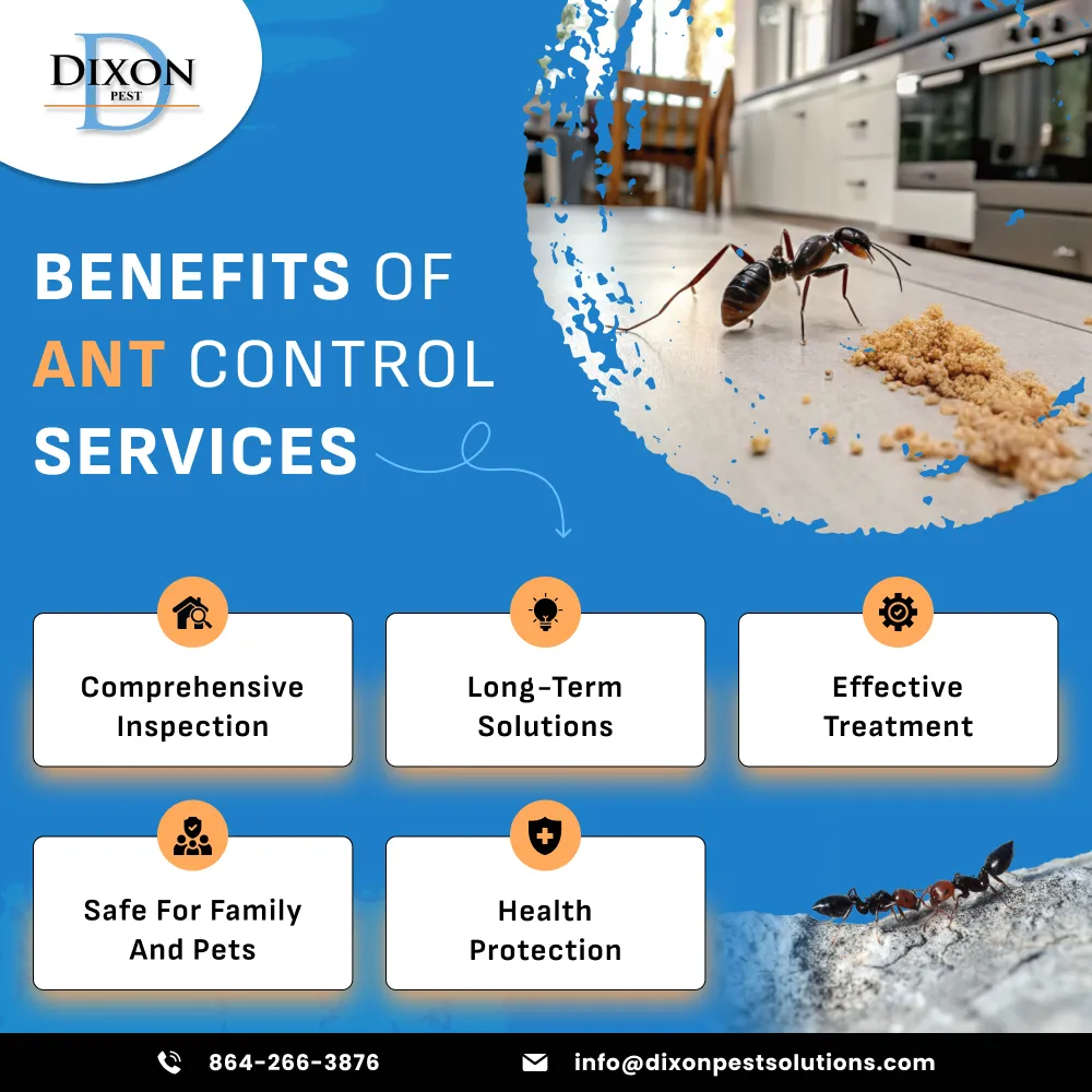 Dixon Pest Solutions