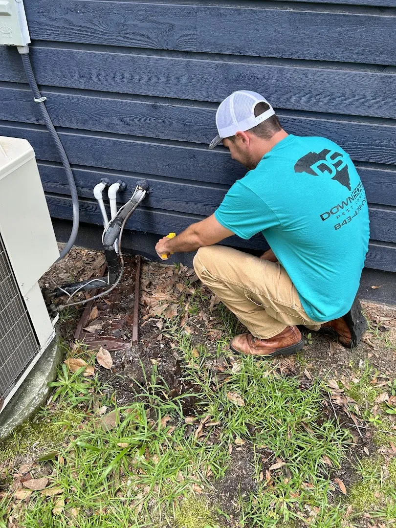 Down South Pest Control