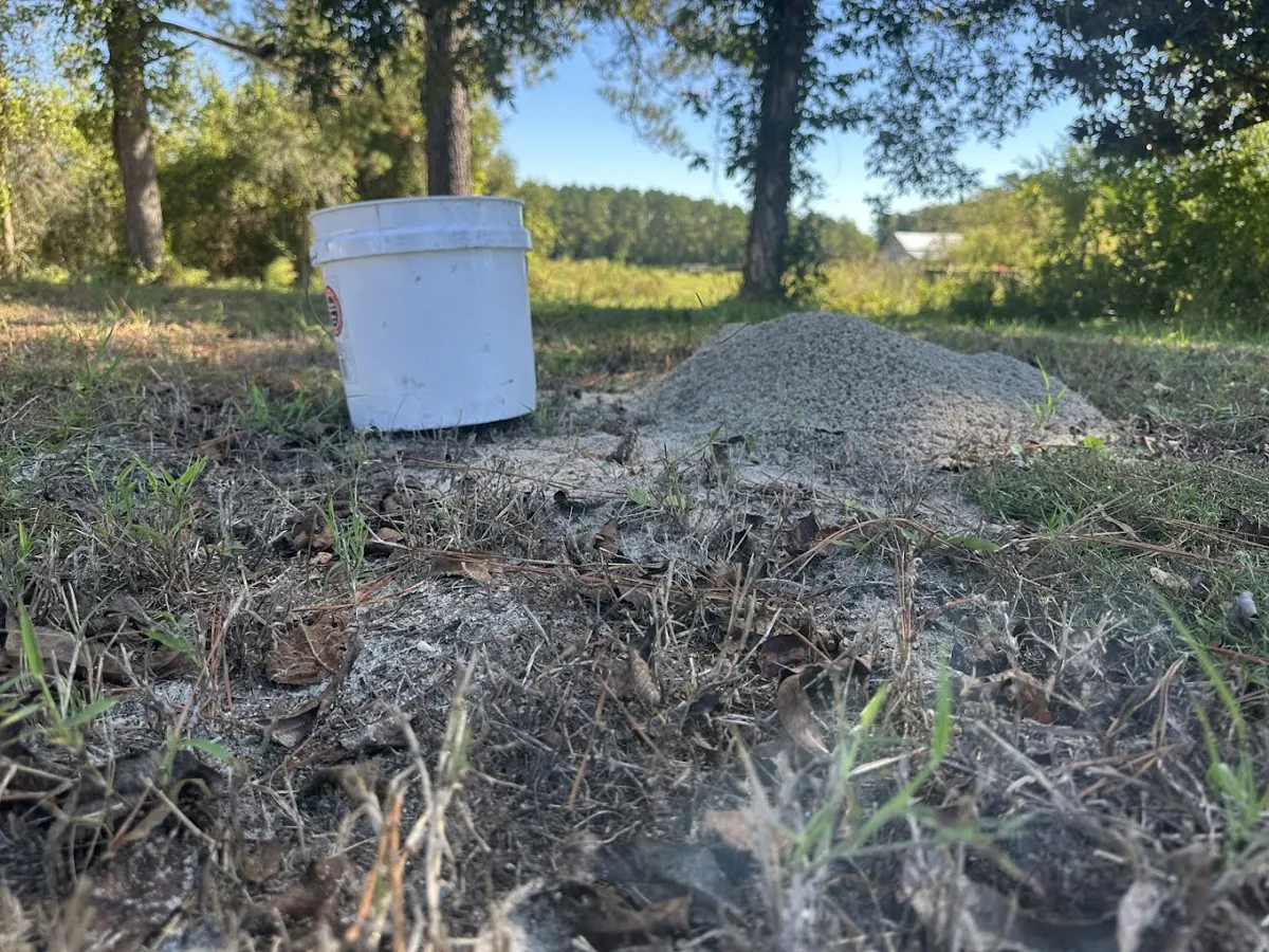 Evict A Pest, LLC