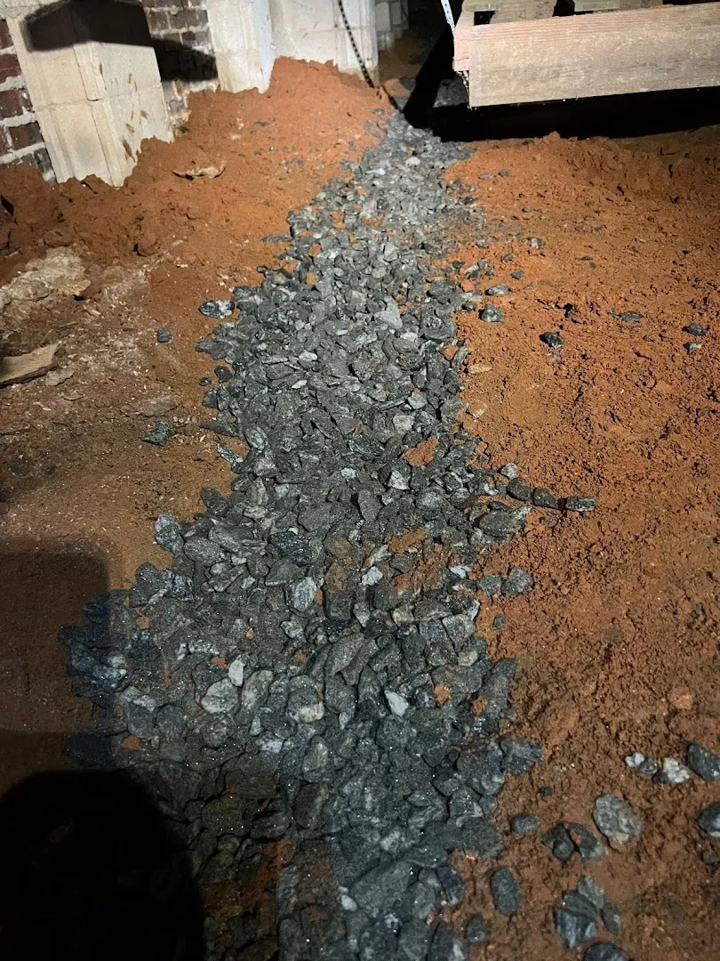 Extreme Pest Solutions