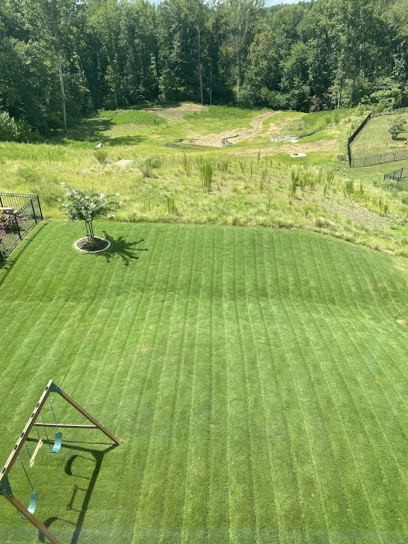 Golf Course Lawns