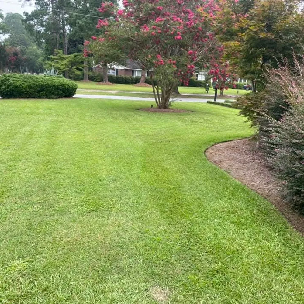 Great Quality Pest Solutions & Great Quality Lawn Care