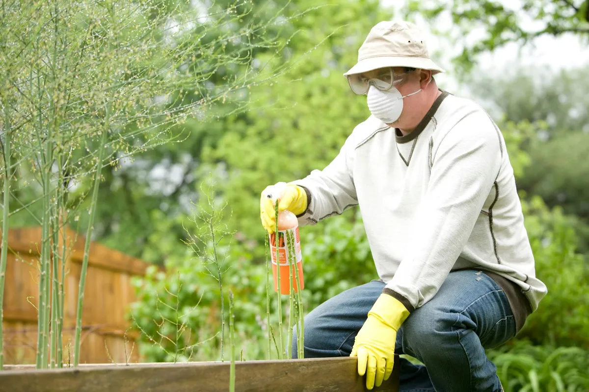 Top Hartsville Pest Control