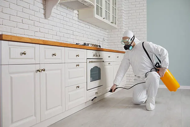 Top Hartsville Pest Control