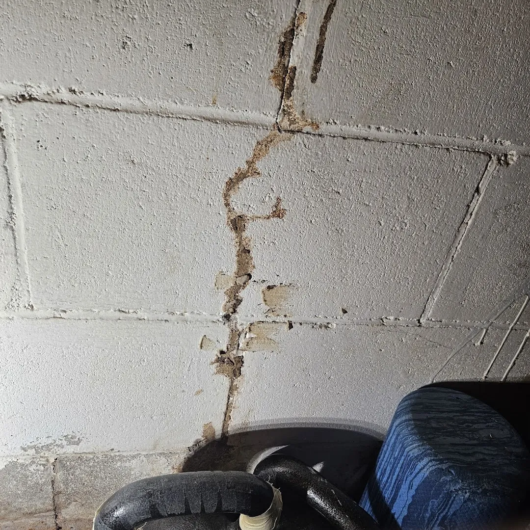 Healthy Home Pest Solutions
