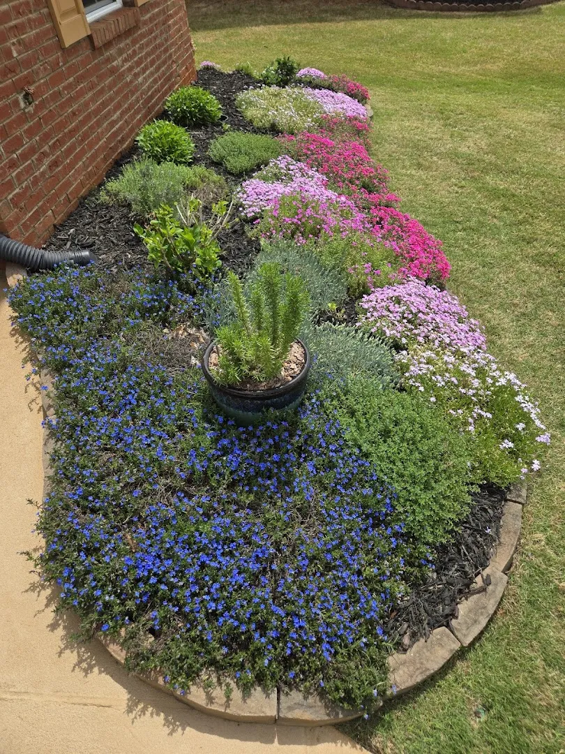 Healthy Lawn Solutions LLC