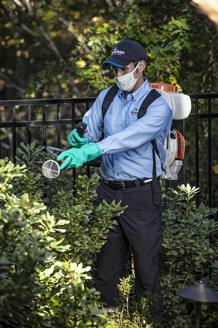 HomeTeam Pest Defense