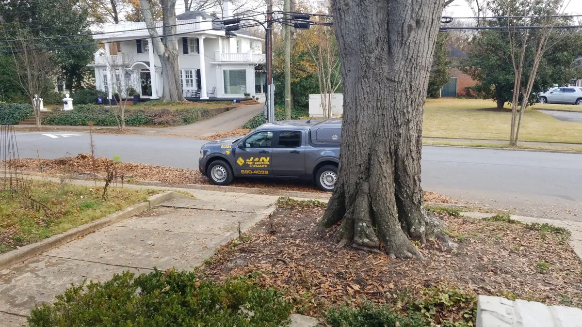 J&N Pest Control