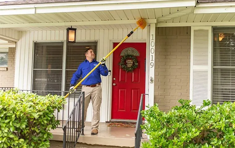 Jury Pest Services