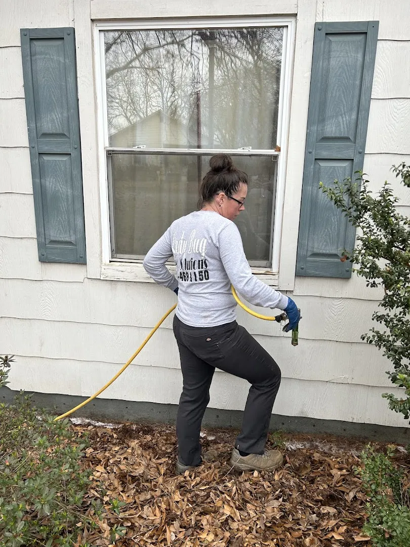 Ladybug Pest Solutions