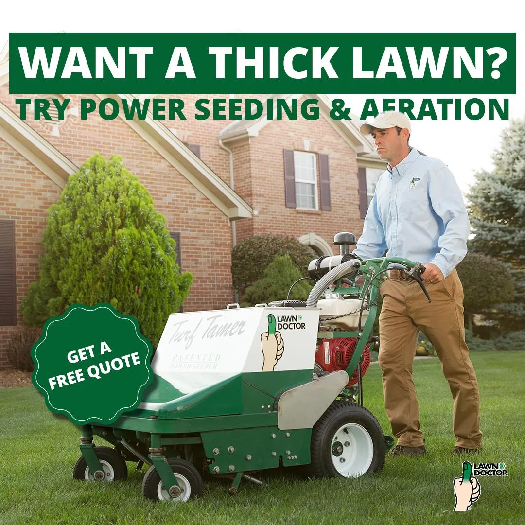 Lawn Doctor of Greenville – Simpsonville – Easley