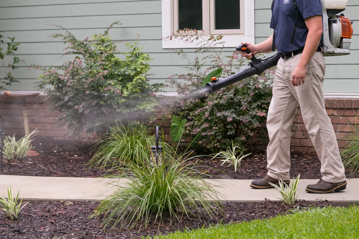 Ledford's Termite & Pest Control