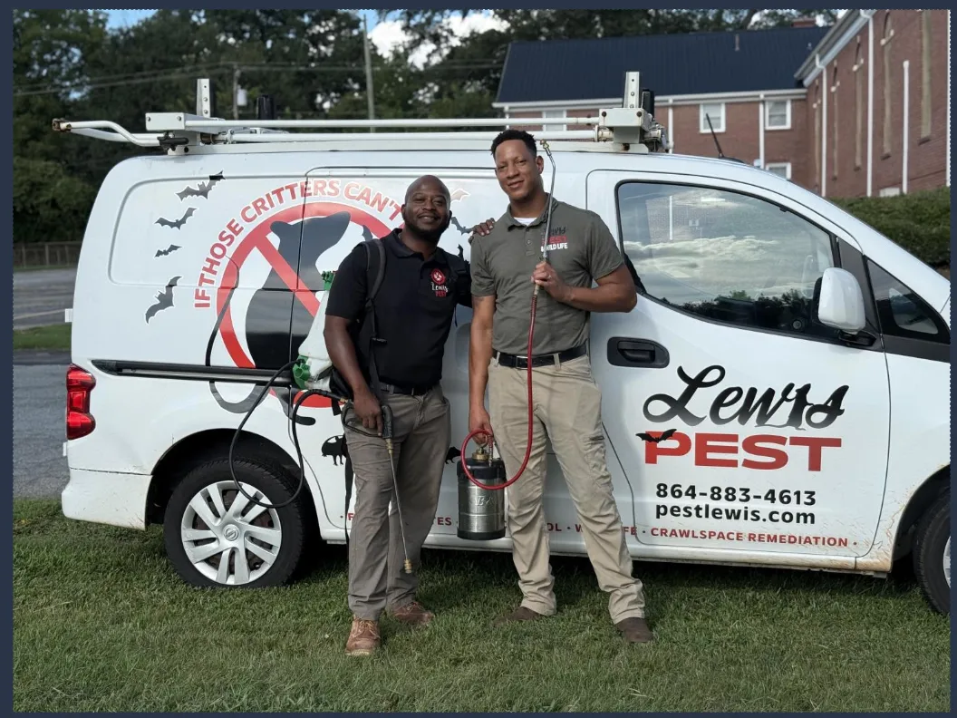 Lewis Pest