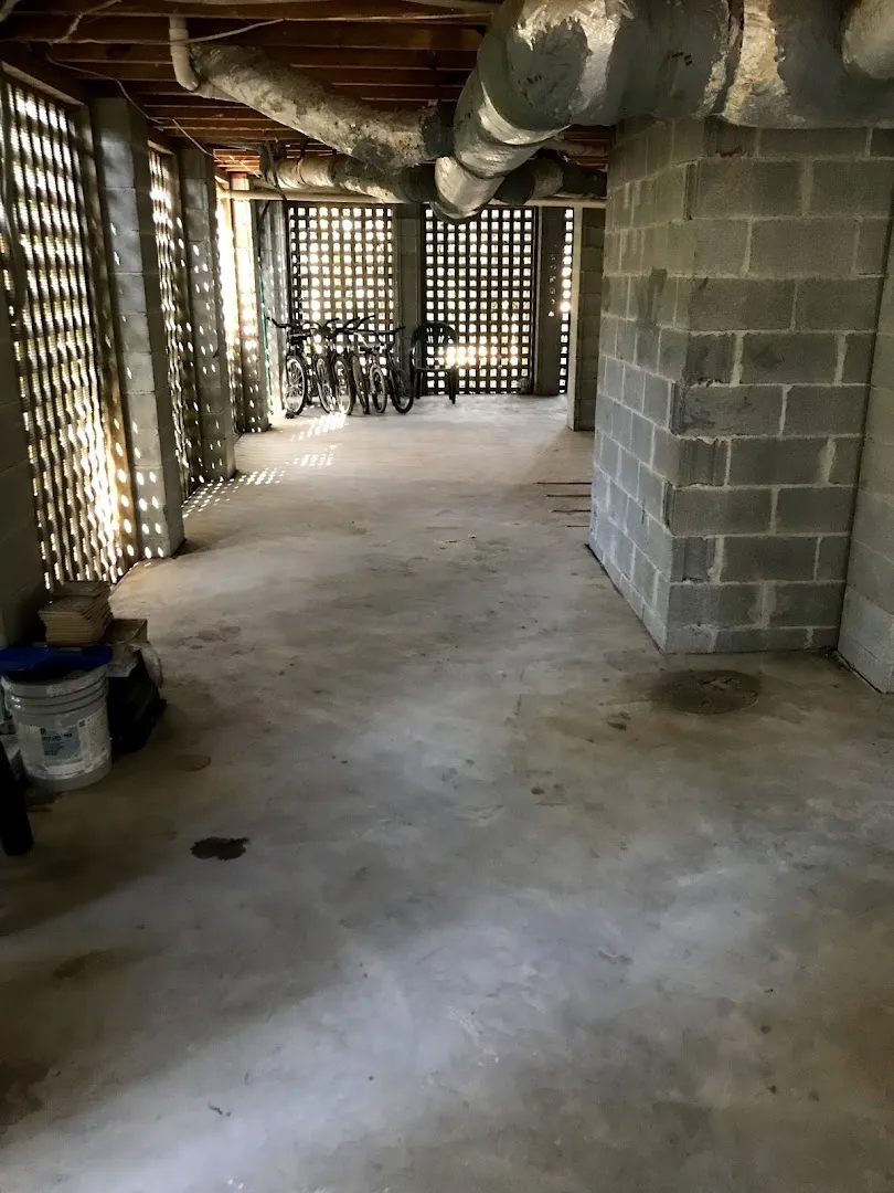Low Country Pest Specialists